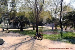 0788 - De Matosinhos a Porto